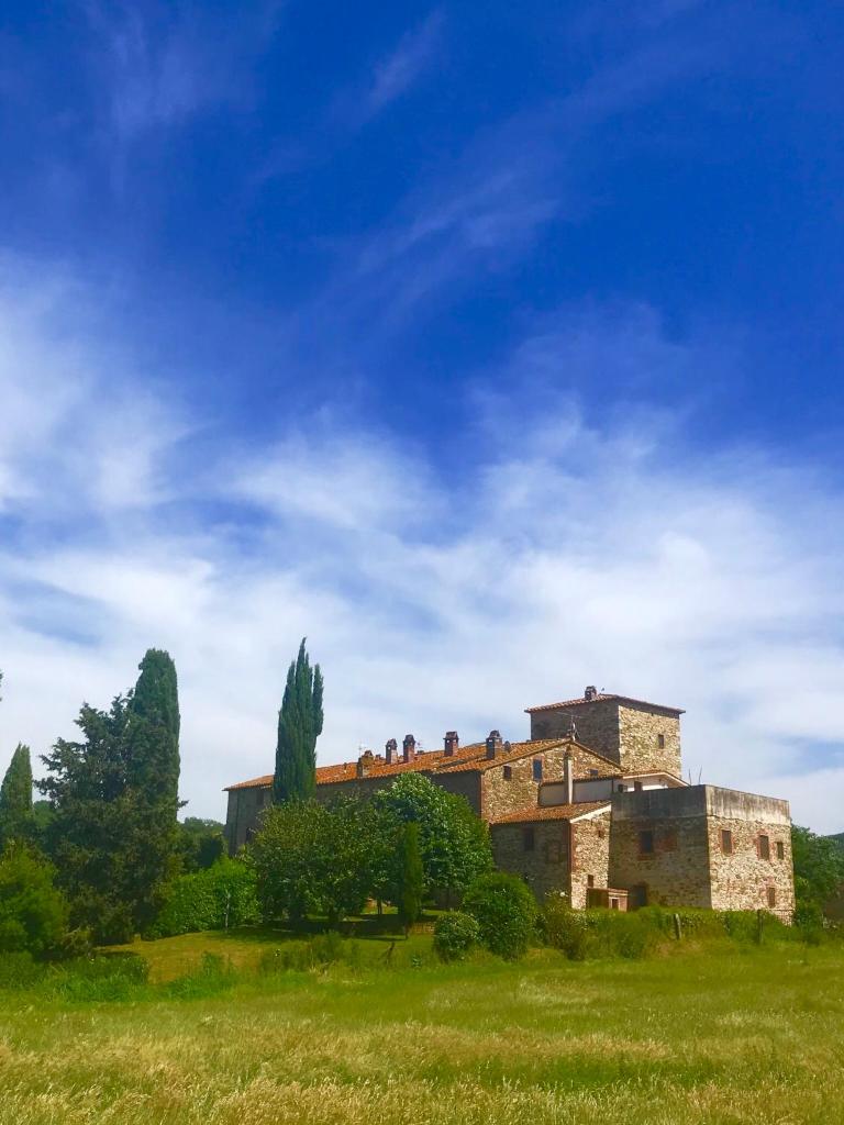 Case di Vetulonia photo 2