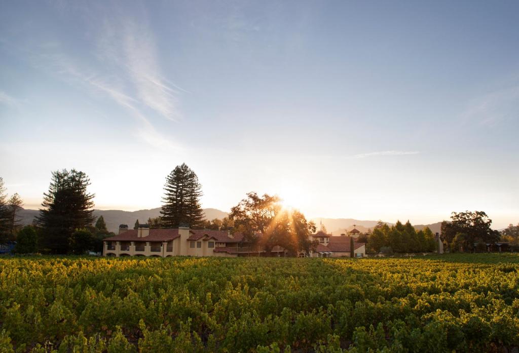 Napa Valley Lodge photo 1
