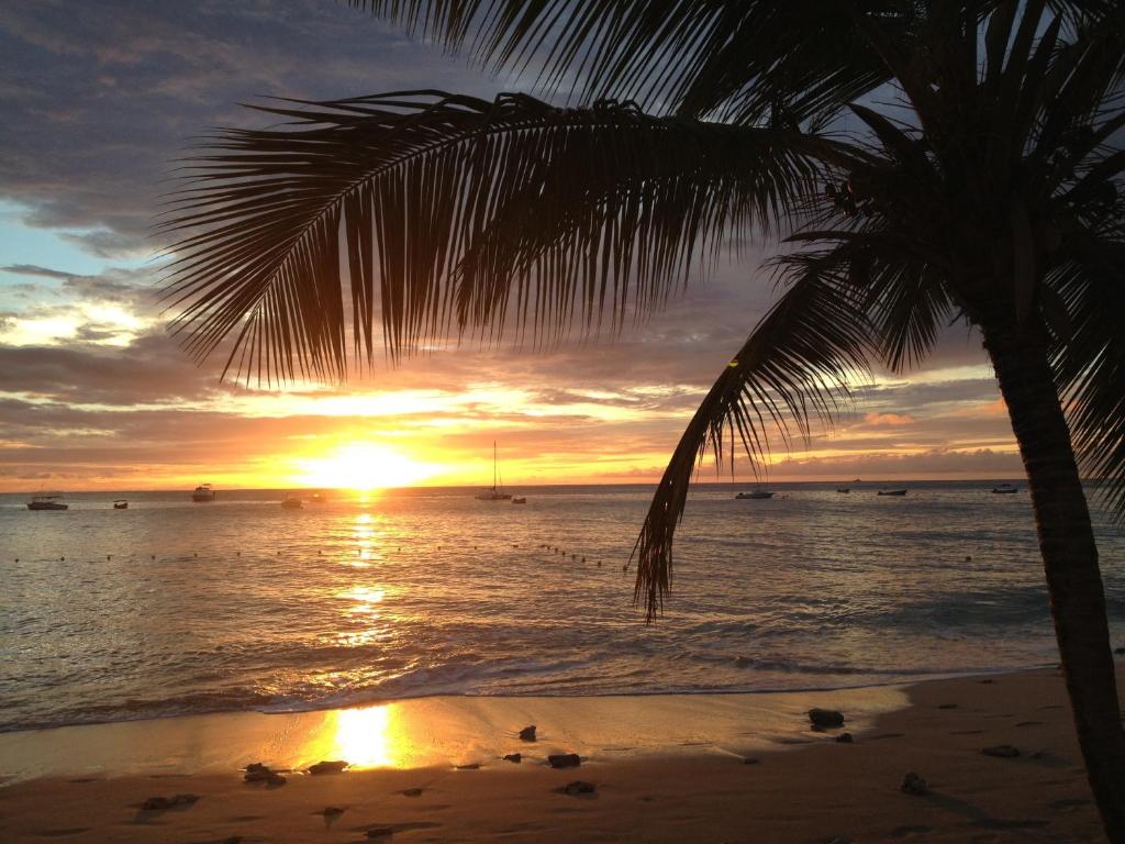 Tropical Sunset Beach Apartment Hotel photo 4