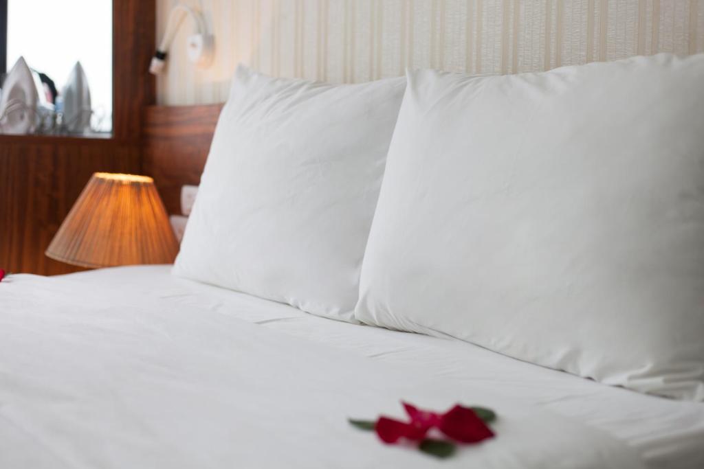 Двухместный (Двухместный номер Делюкс с 1 кроватью), Hanoi Bel Ami Hotel