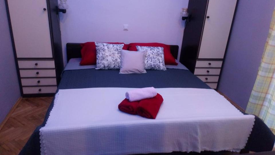 Dalmatino photo 3