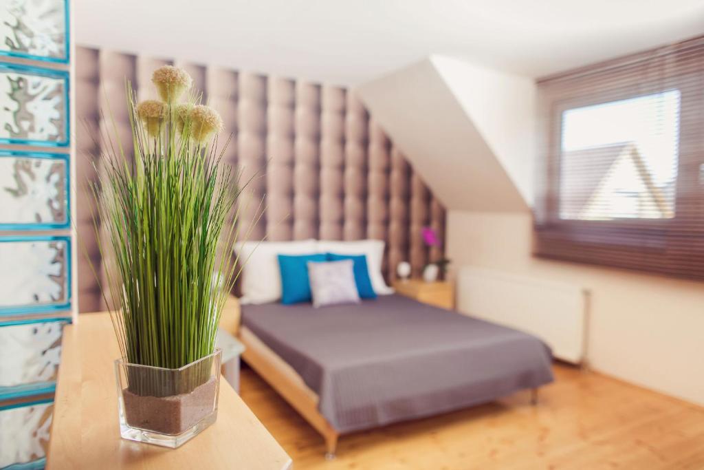 Apartman Szanyi photo 4
