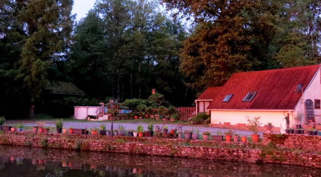 River Cottage photo 4