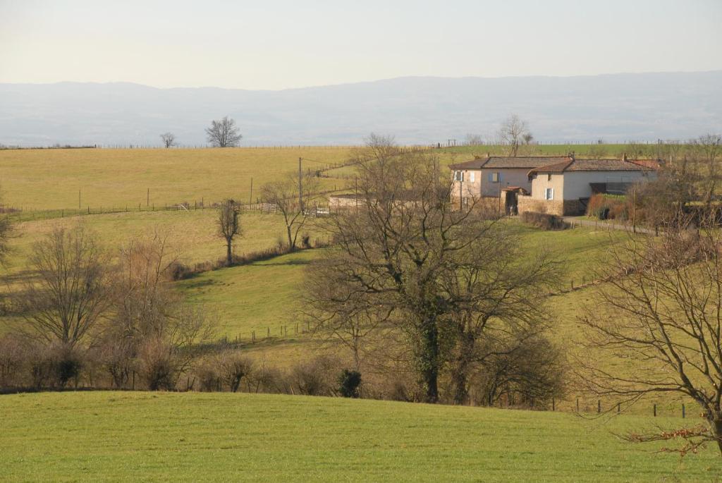 Chez Jacotte et Elia photo 4