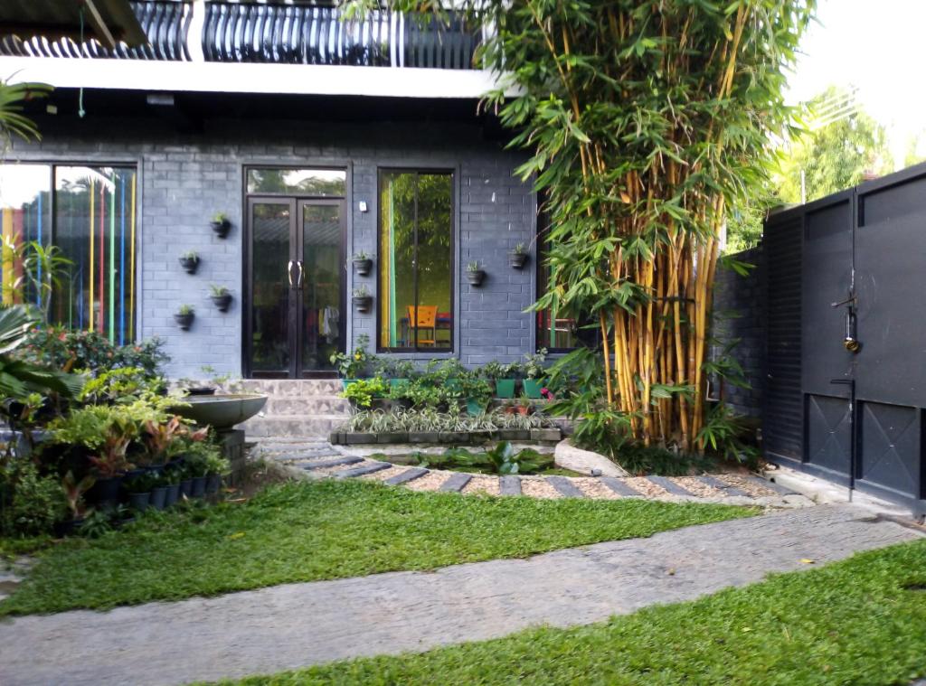 Mango Roots photo 2