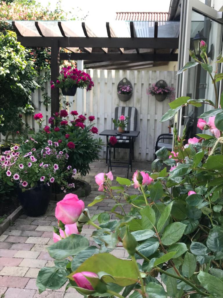 Dadas Bed & Breakfast photo 4