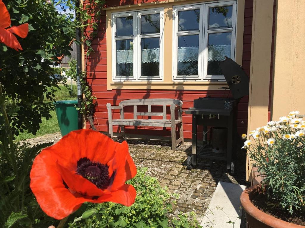 Holzferienhaus photo 3