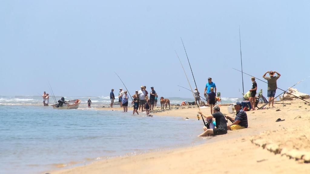 Neptunes Cove photo 3