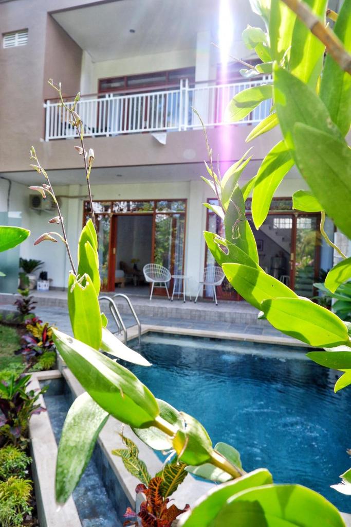 Сьюит (Люкс с собственным бассейном), The Sloth Bali