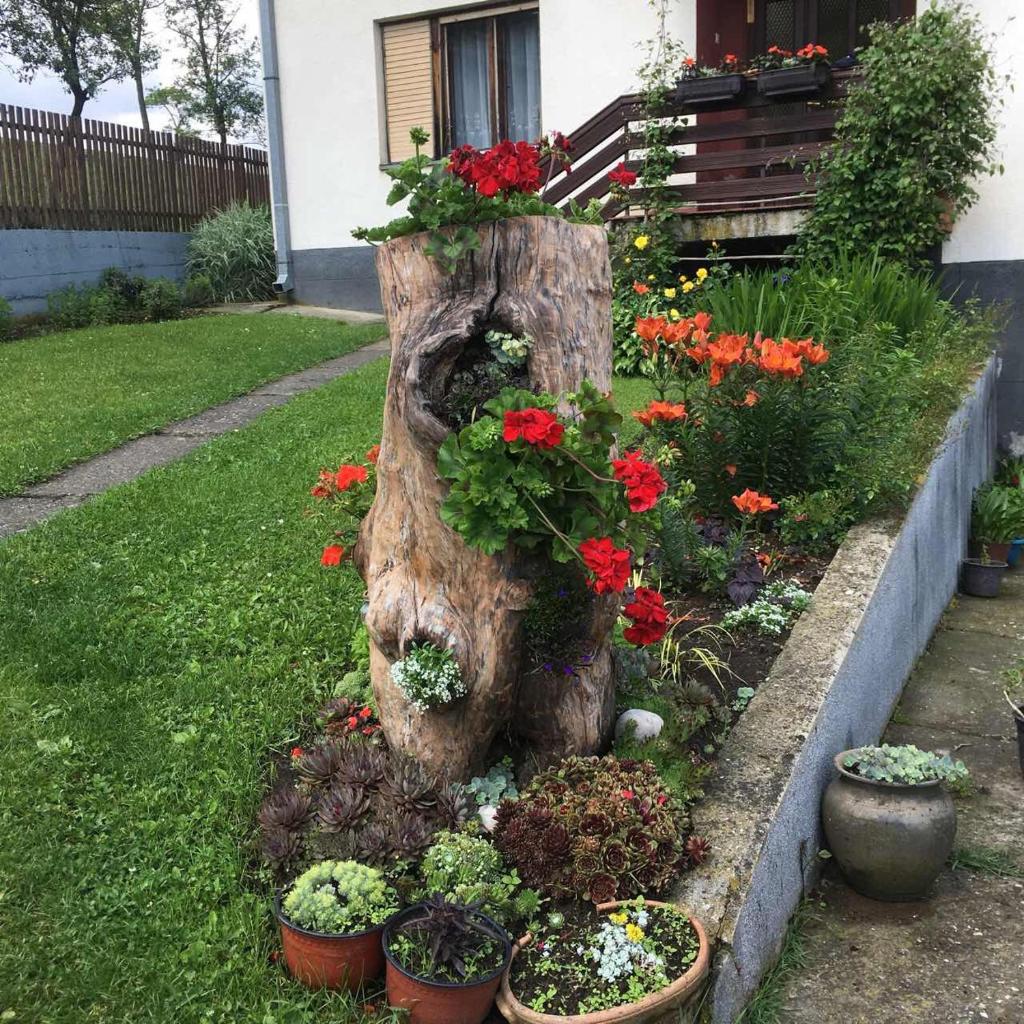 Domacinstvo Trnavac photo 2