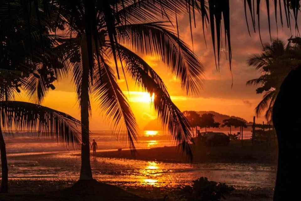 Costa Rica Surf Camp by SUPERbrand photo 1