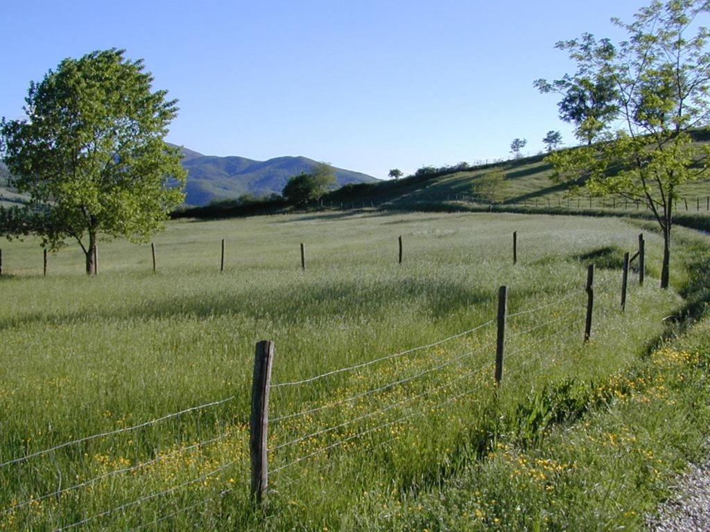Maridiana Alpaca Country House photo 3
