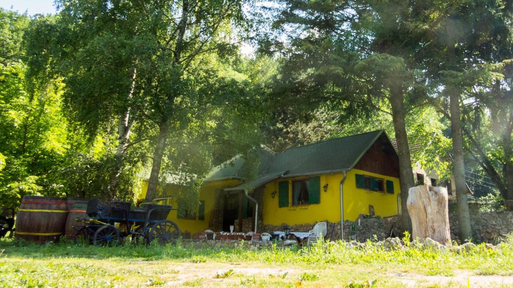 Yellow House by the river photo 4