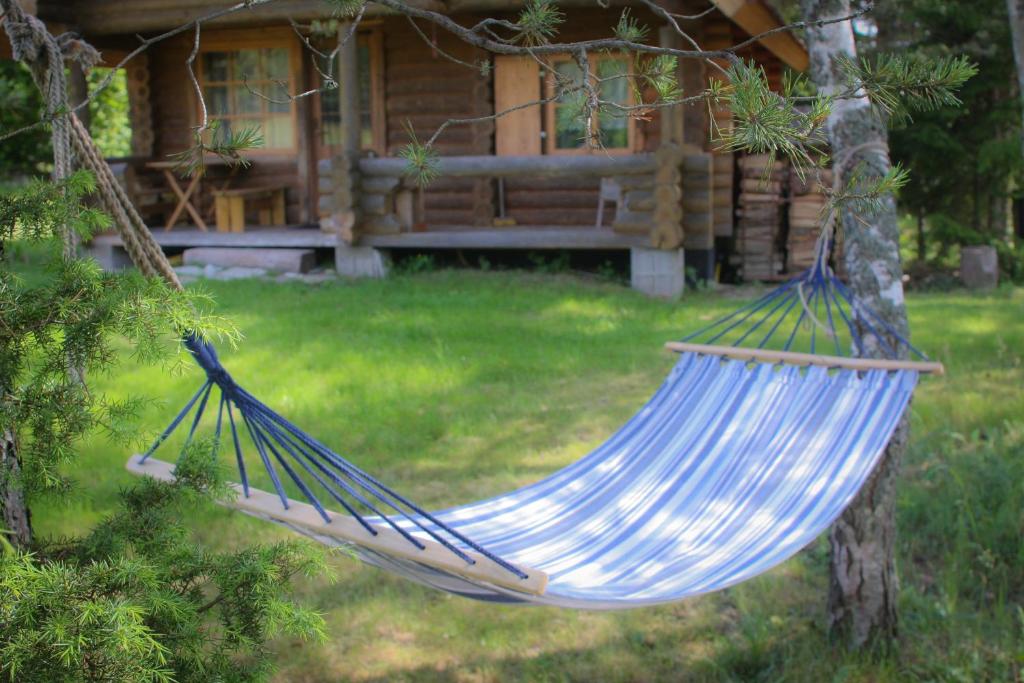 Purje Holiday Home photo 4