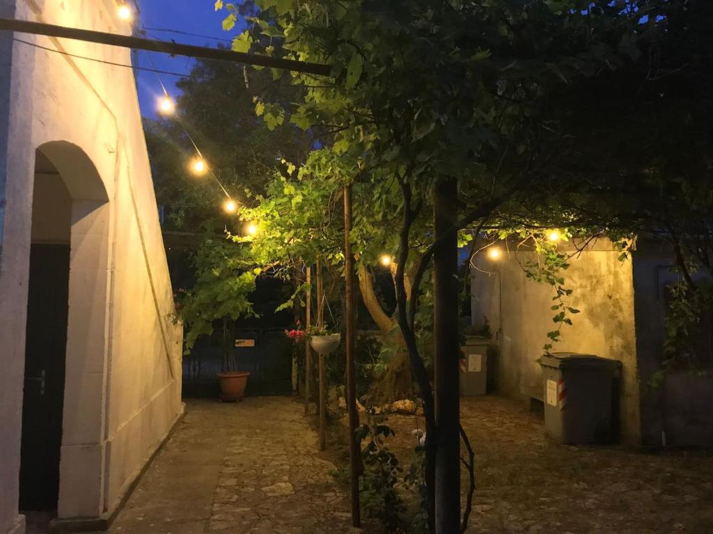 Il Paradiso dei nidi photo 3
