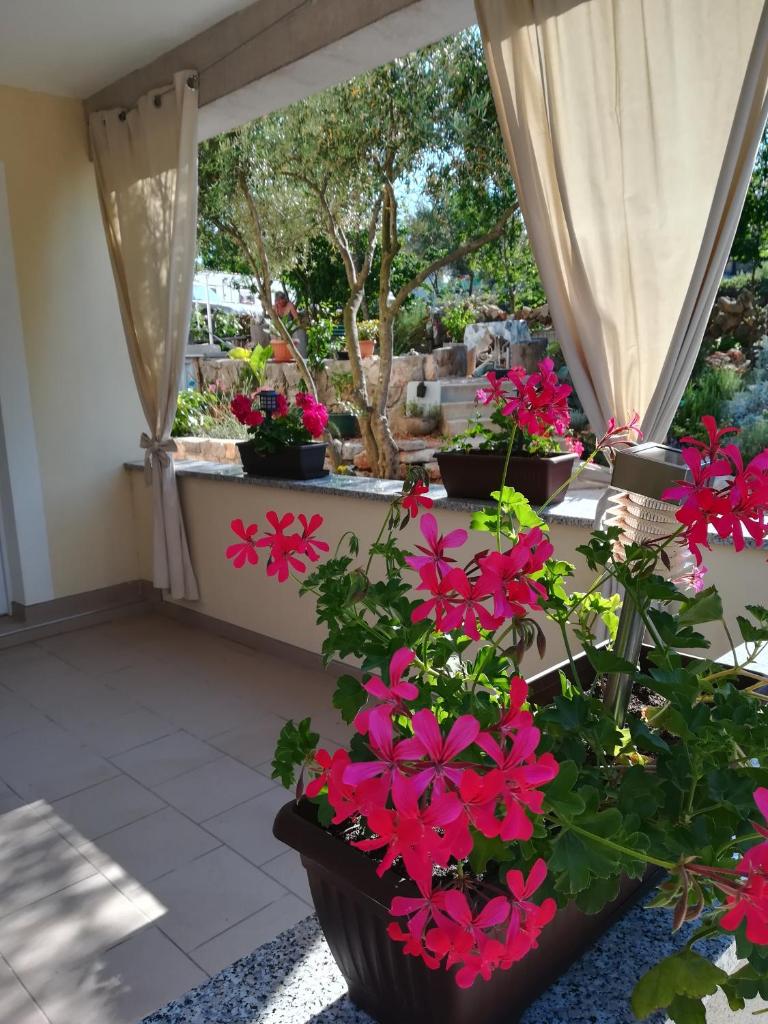 Apartments Olea photo 2