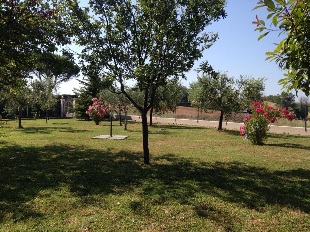 Villetta le Rose photo 2
