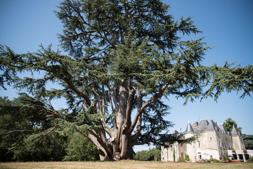 Château de Piolant photo 2