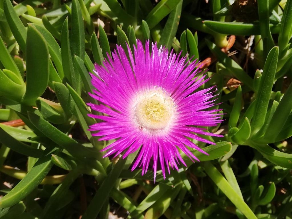 AzuRoMarin photo 3