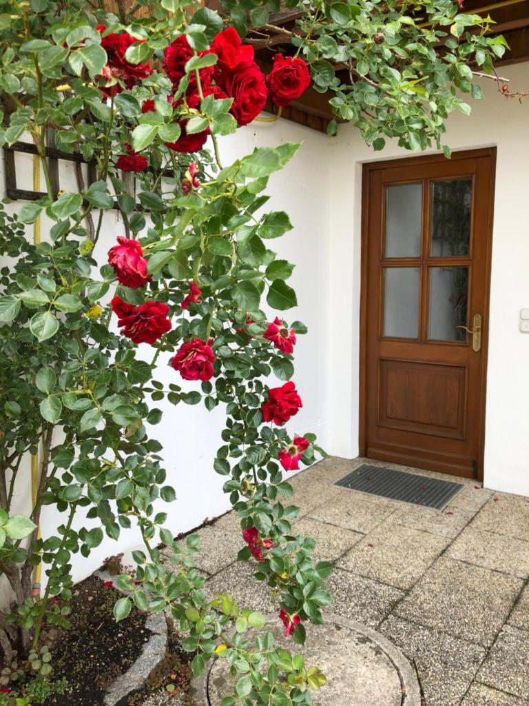 Ferienwohnung Christensen photo 3