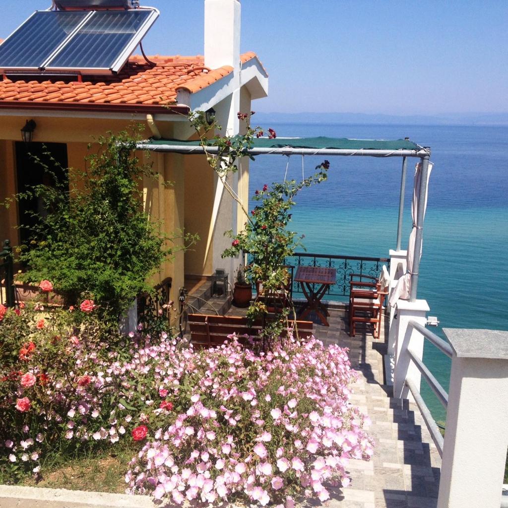 Aegean Colors photo 1