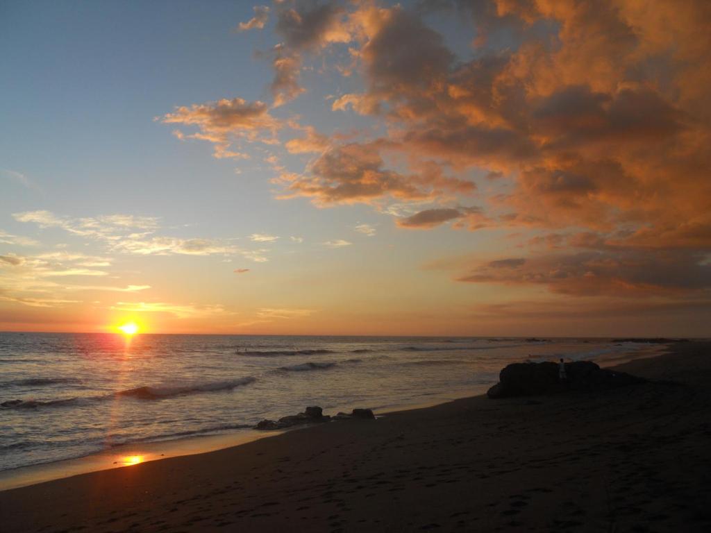 Beach Hostal Oasis photo 4