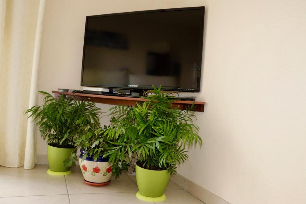 Casa Yoel photo 2