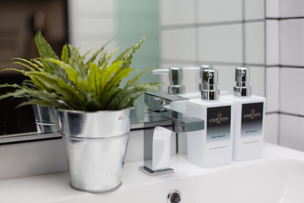 Апартаменты (Апартаменты с 1 спальней), Flexus Signature by Luxury Suites Asia