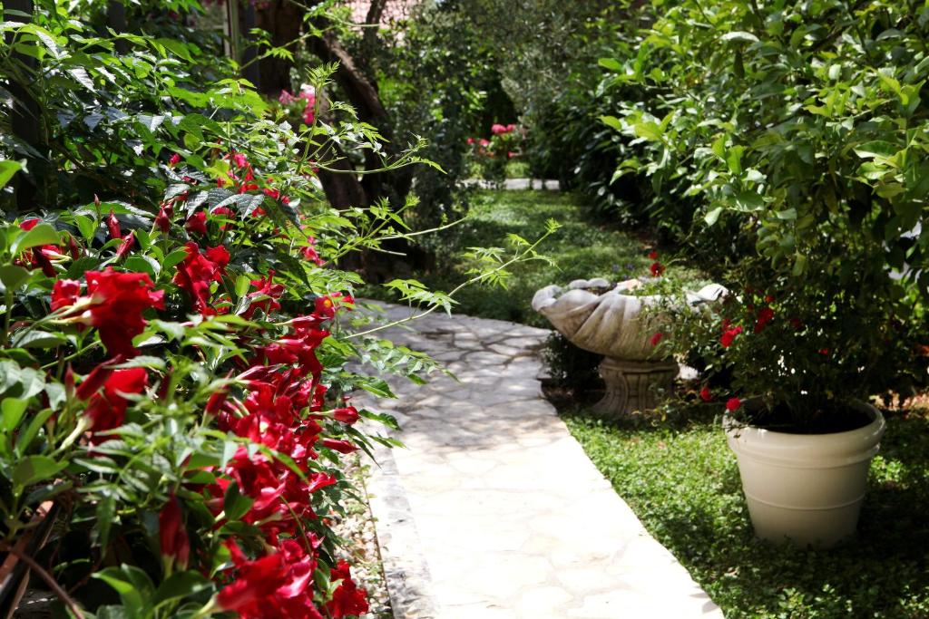 Villa Sun photo 2
