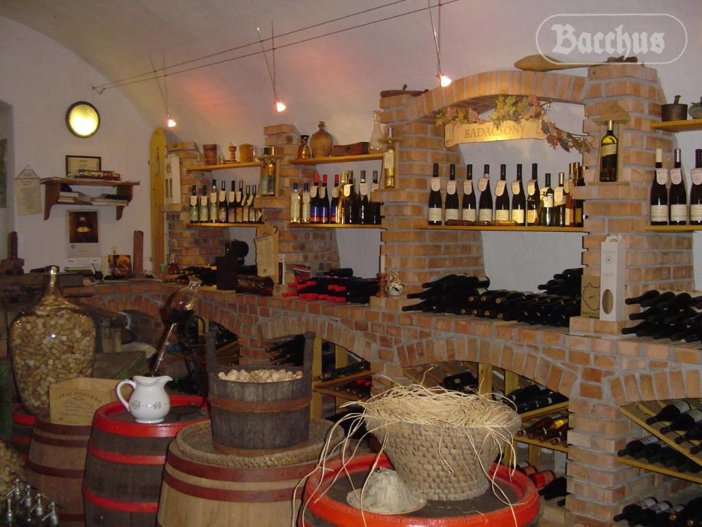 Bacchus Apartman - Borbarlang, Badacsony photo 4