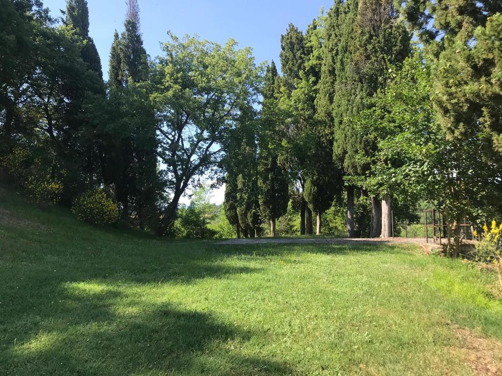 Poggio dell'Esca photo 3