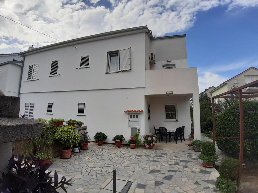 Apartments Knežević photo 4