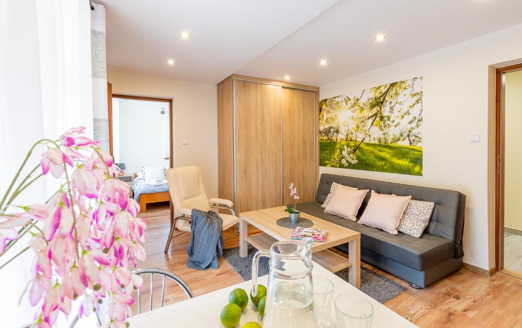 Апартаменты (Апартаменты с 1 спальней), Apartament i Pokoje Gościnne u Lusi