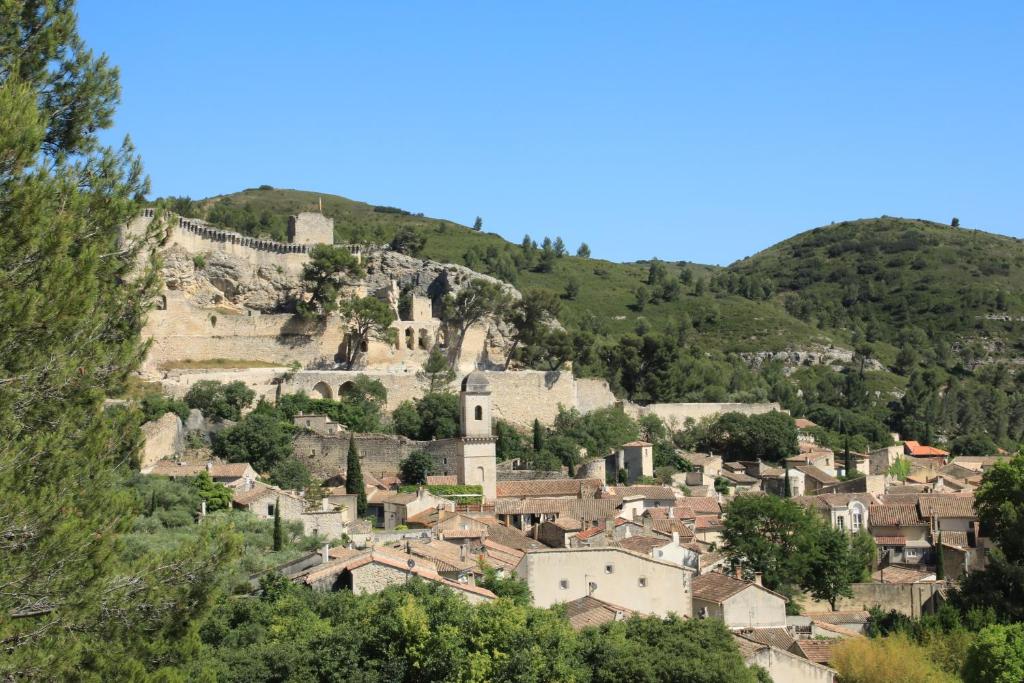 Les lavandes de Sèverine photo 2