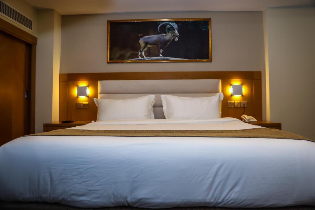 Двухместный (Стандартный номер с кроватью размера «king-size»), Muscat Plaza Hotel