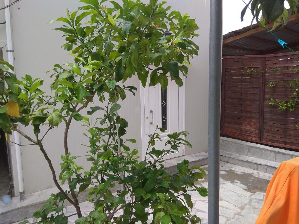 Ionion Beach House photo 4