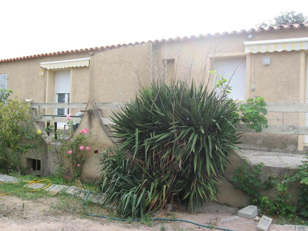 Les gites de lozari photo 4