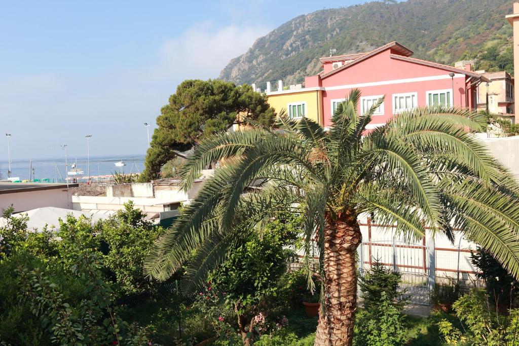 Come Eravamo photo 1