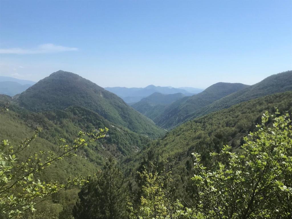 Séjour provençal photo 2