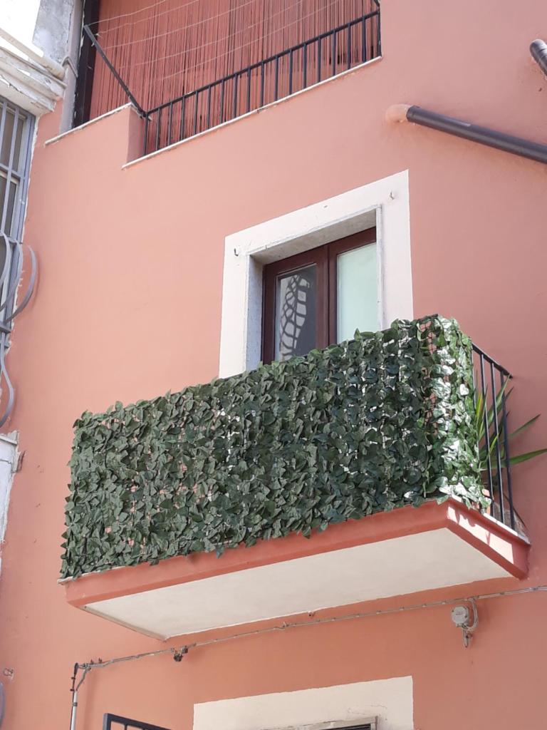 la fontanella photo 3
