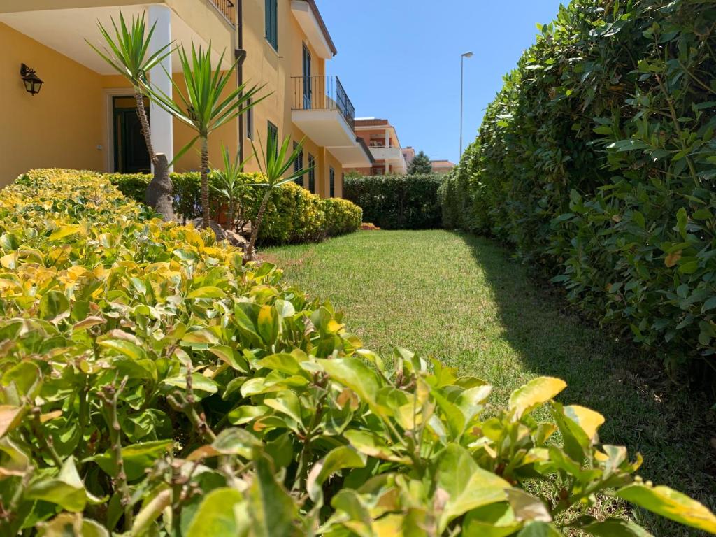 L'alloro room's affittacamere photo 2
