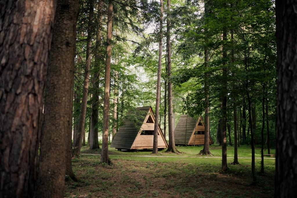 Forest Camping Mozirje photo 4