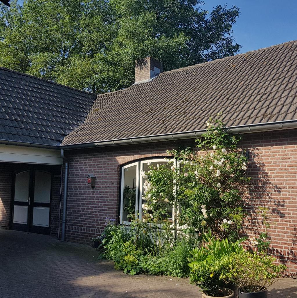 B&B Oostrik photo 4