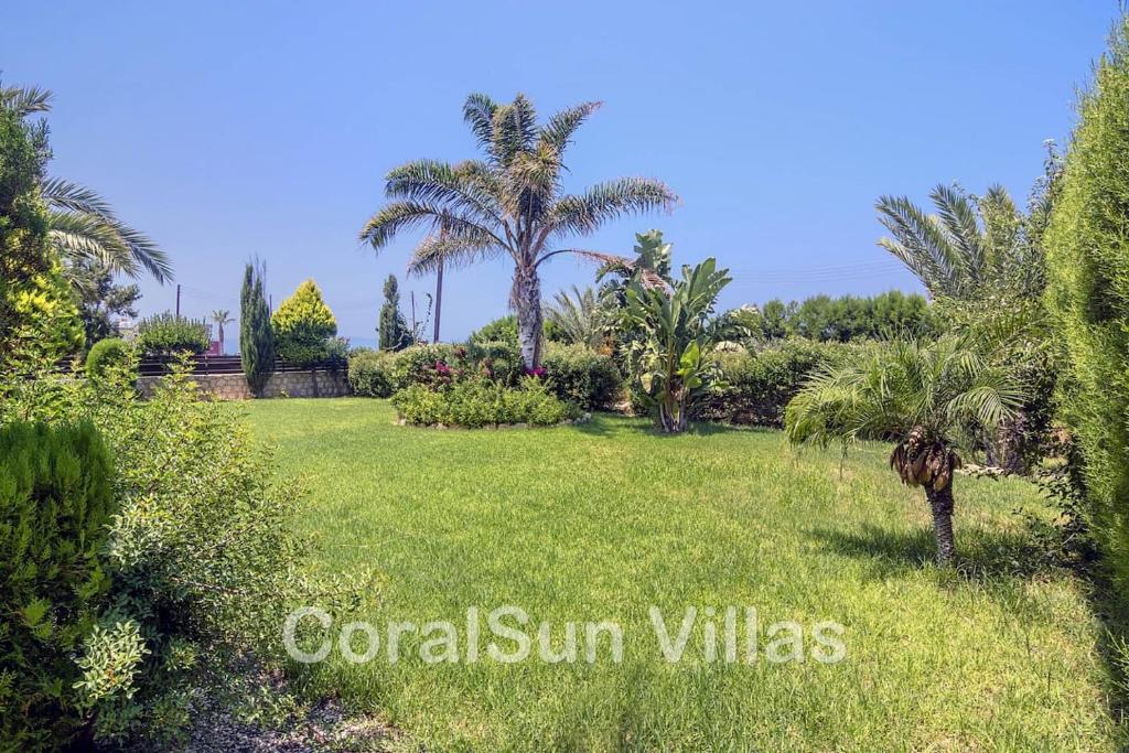 Marlin Beach Front Luxury Villa - 4 Bedrooms photo 4