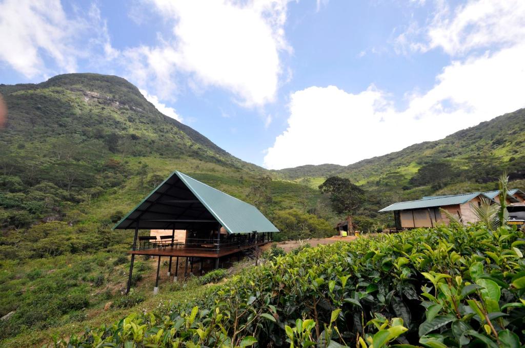 Wild Glamping Knuckles - Thema Collection photo 1