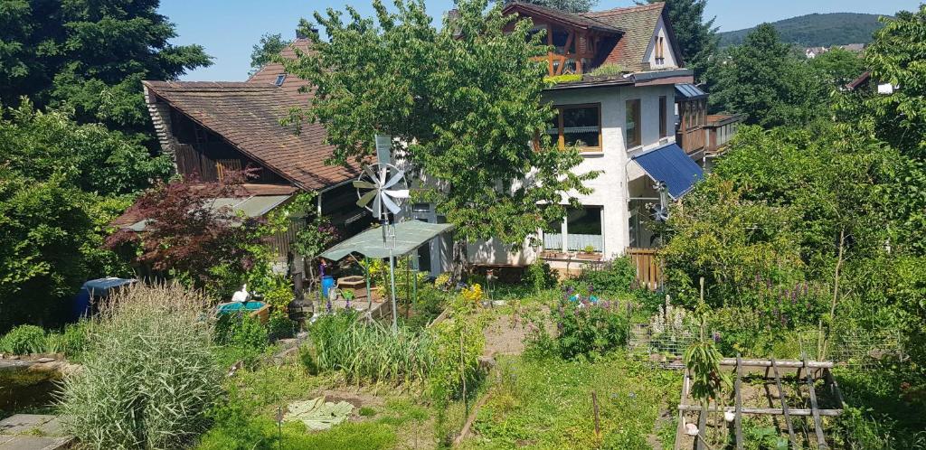 Ferienwohnung Wendel photo 3