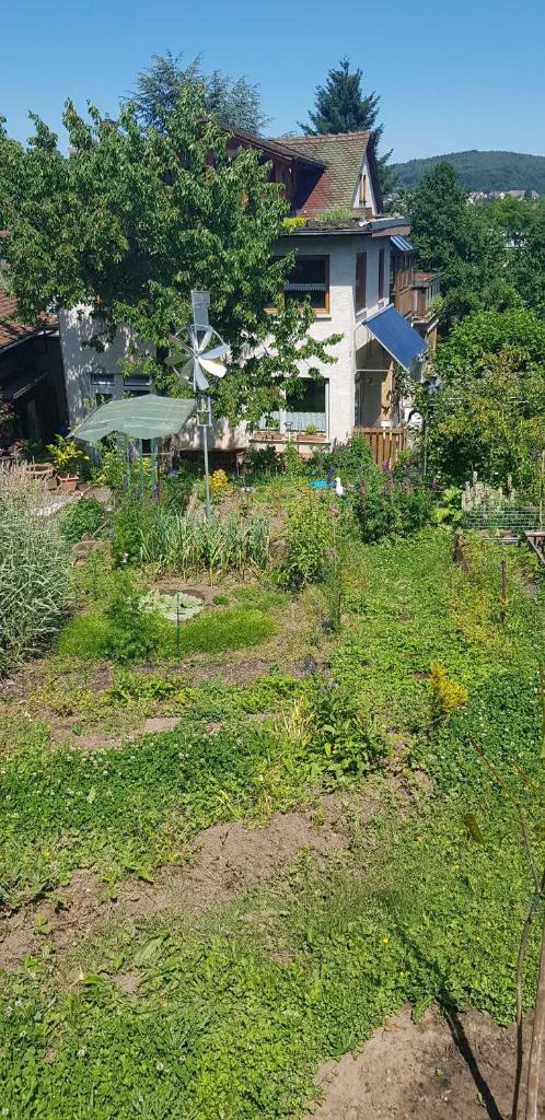 Ferienwohnung Wendel photo 4