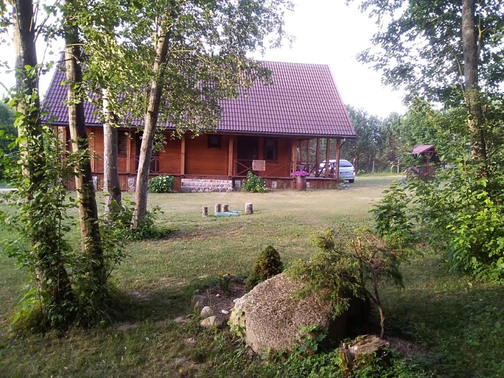 Alisa kviečia. photo 3