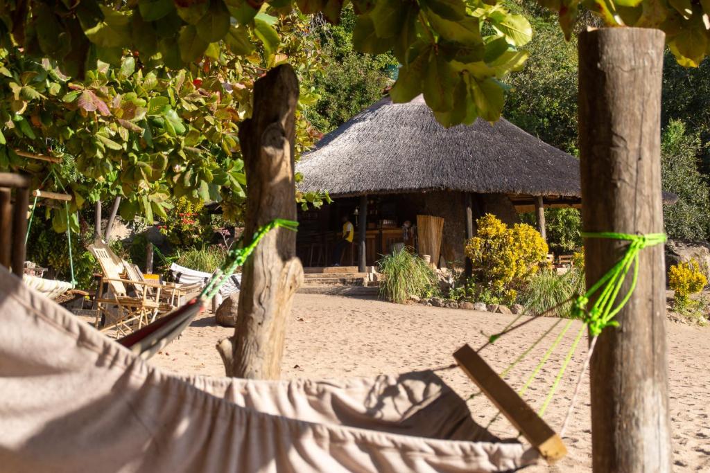 Mufasa Eco Lodge photo 2