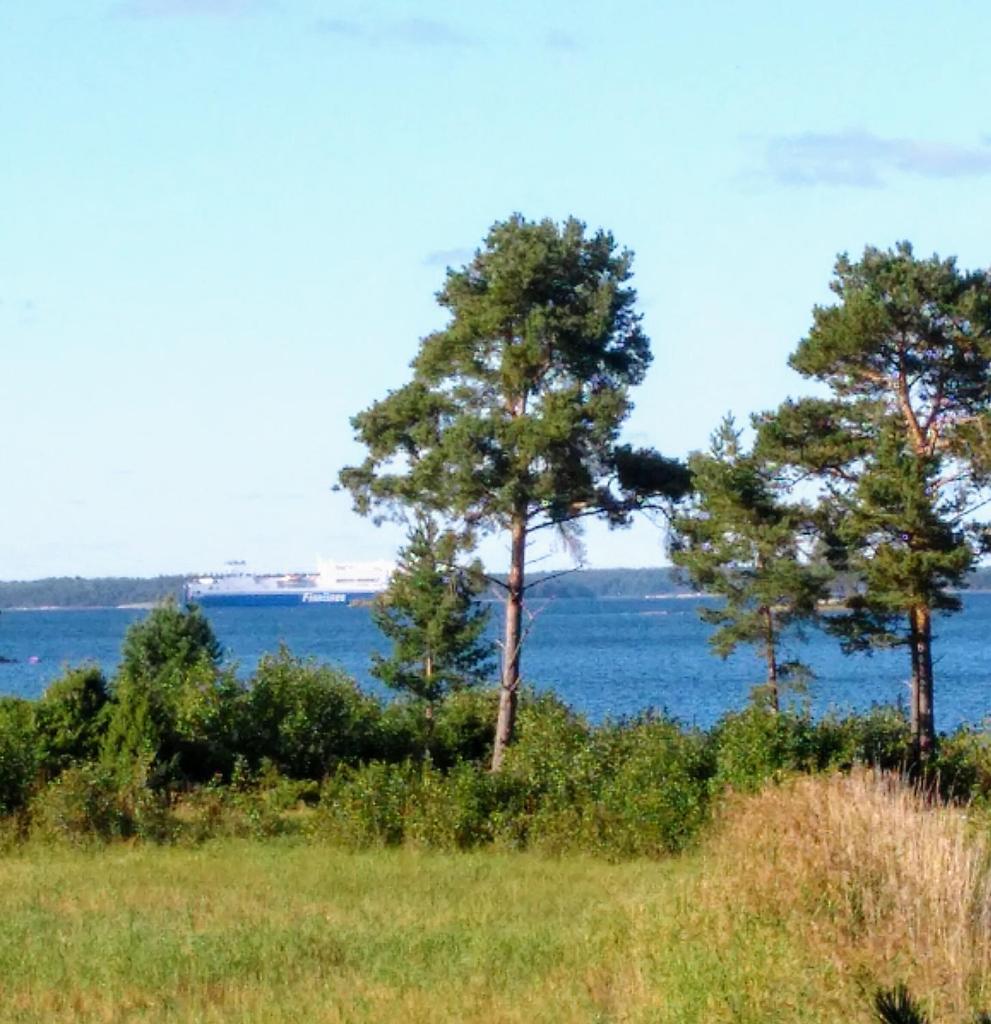 Hevosniemi photo 3